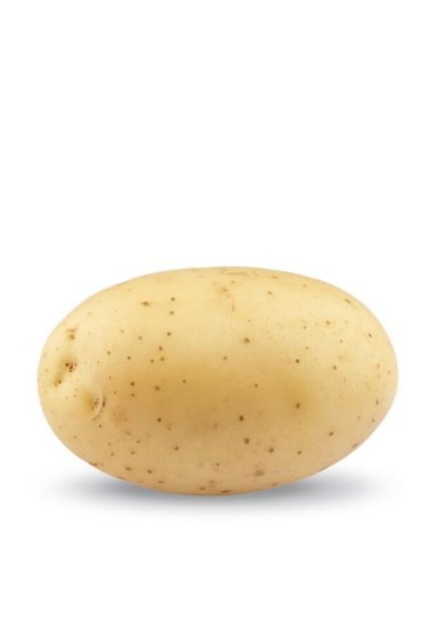Panamera Irish Potato – Sold in 50kg Bags