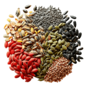 Seeds