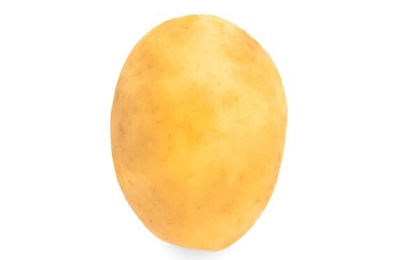 Paradox Irish Potato – Sold in 50kg Bags