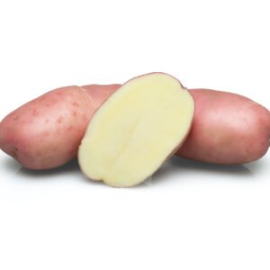 Fresh Asterix Potato – Red-Skinned High Yield Table & Processing Potato (UAF Cameroon) per 50kg Bags